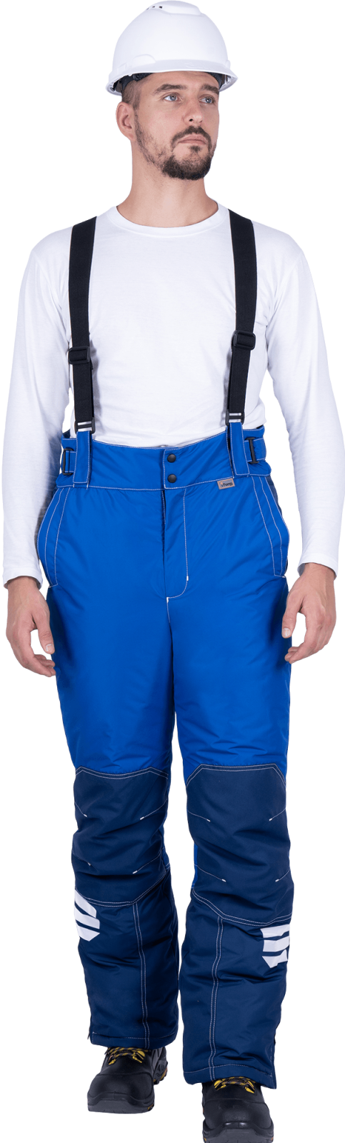 Брюки зимние мужские Эдванс, тк.Нортси,135, синий/васильковый М